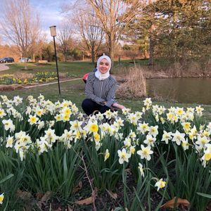 Meet your Posher, Basma